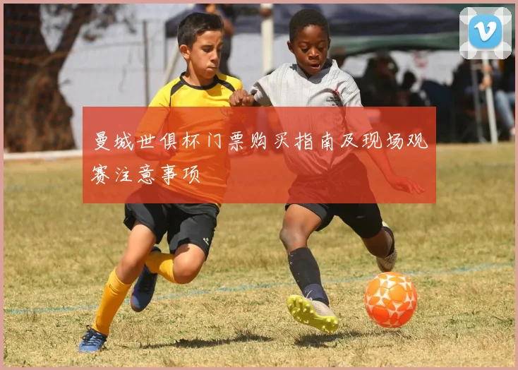 曼城世俱杯门票购买指南及现场观赛注意事项
