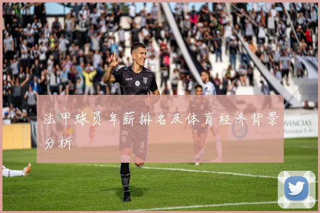 法甲球员年薪排名及体育经济背景分析