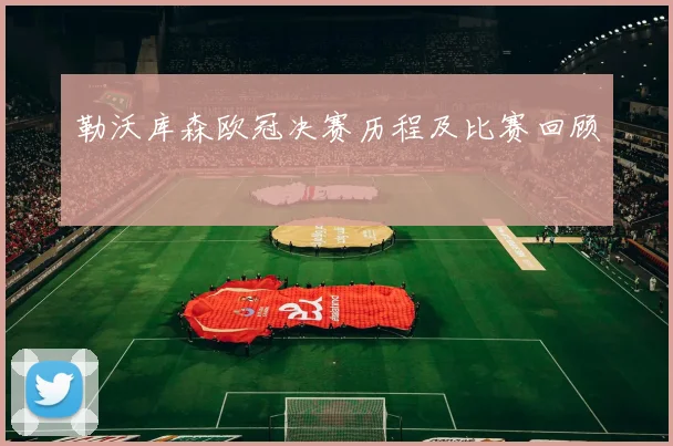 勒沃库森欧冠决赛历程及比赛回顾