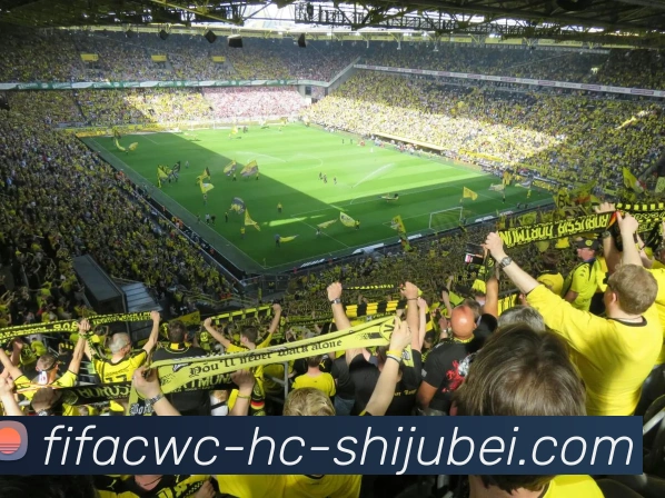 世界杯直播服务体系