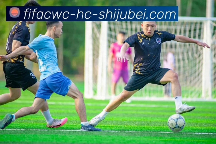 多媒体互动体验